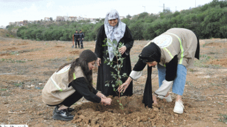 تيسمسيلت.. انطلاق عملية غرس ما يقارب أربعة آلاف شجيرة بثنية الحد