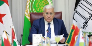 بوغالي يشدد على وحدة الصف العربي في مواجهة الأزمات والتحديات الأمنية