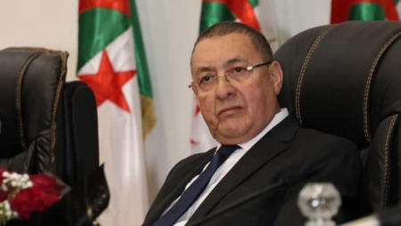 مرّاد يكشف عن تسخير 12 مليار سنتيم لتحسين الخدمة بالمعبر الحدودي الطالب العربي بولاية الوادي