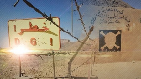 30 منظمة دولية تضغط على فرنسا للاعتراف الكامل بجرائمها النووية في الجزائر ورفع السرية عن الوثائق