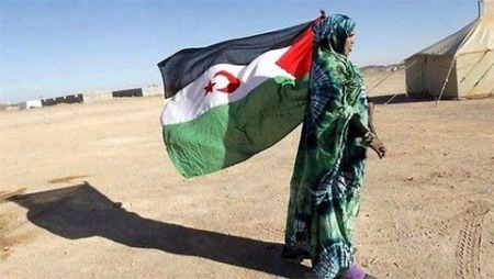 اللجنة السويسرية لدعم الشعب الصحراوي: منتدى حول الصحراء الغربية