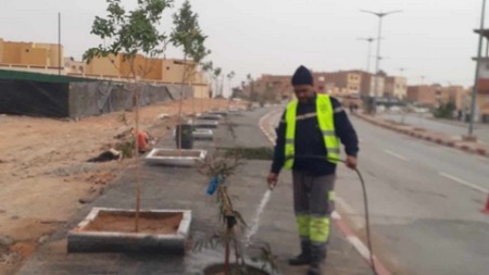 بشار.. أكثر من 6000 شجرة لتزيين طريق المطار 