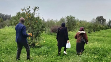 سيدي موسى.. تجديد بساتين الأشجار المثمرة و توجيه الفلاحين لتحسين شعبة الحبوب بالدار البيضاء