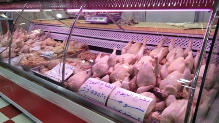 تندوف.. تزويد الأسواق بحوالي 150 طن من اللحوم البيضاء
