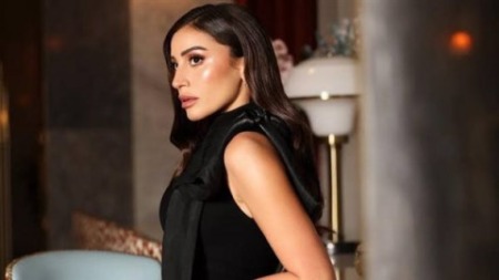 دينا الشربيني: أنس بوخش صديق مقرب فقط