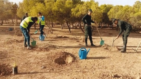 إبراز الجهود المبذولة للحفاظ على الثروة الغابية بغرب البلاد 