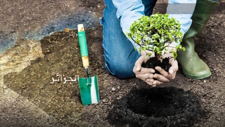 تعبئة شاملة للمجتمع المدني والاقتصادي لإنجاح أكبر حملة تشجير وطنية