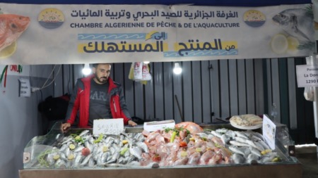 الجزائر تضبط أسعار الأسماك في رمضان بـ200 نقطة بيع مباشرة