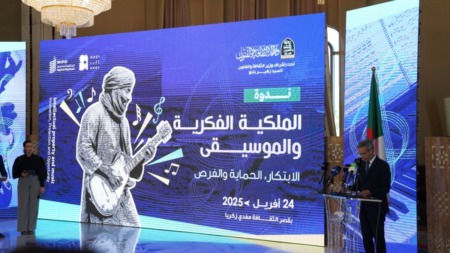 الدولة تولي “أهمية خاصة” لحماية حقوق المؤلفين والفنانين