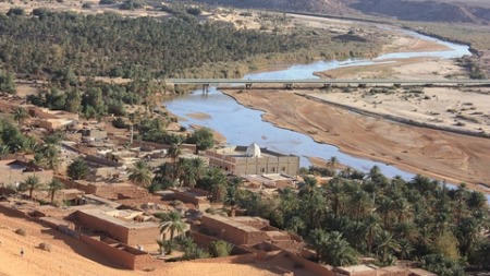 النظام البيئي لحوض مصب “وادي غير” ببشار في وضعية تنذر بالخطورة 