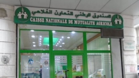 استحداث فرعين بنكيين للصندوق الوطني للتعاون الفلاحي ببرج منايل والرغاية