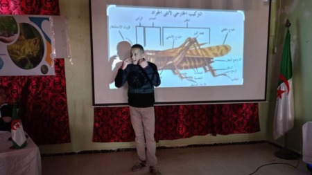 إجراءات احترازية لمجابهة الجراد الصحراوي بتبسة