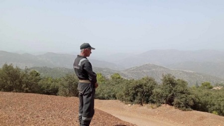 معالجة ملفات توظيف الأعوان الموسميين لمكافحة حرائق الغابات ببومرداس