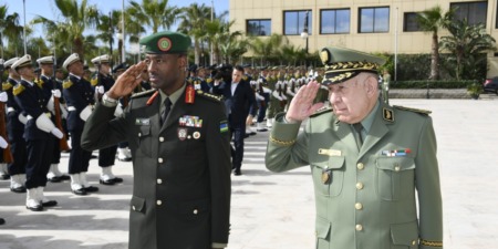 العلاقات الجزائرية-الرواندية مثال للتنسيق السياسي للدفاع عن إفريقيا وقضاياها الأساسية
