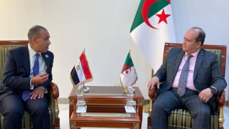سيفي غريب يستقبل وزير الخارجية والهجرة وشؤون المصريين بالخارج