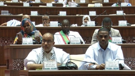 نواب موريتانيون يتظاهرون ضد الإبادة بغزة
