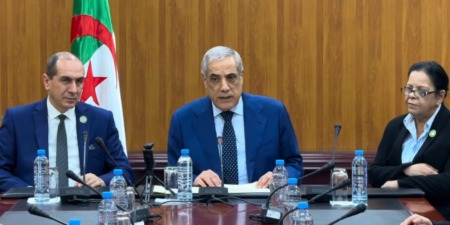 العرباوي: رؤية استراتيجية شاملة يقودها رئيس الجمهورية من أجل جزائر المستقبل