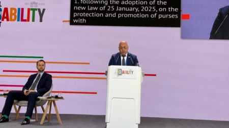 ربيقة: الجزائر تحقق تقدما ملموسا في ضمان حقوق الأشخاص ذوي الإعاقة
