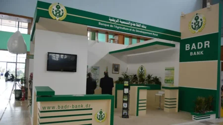 بوراي: نحو اقتصاد متنوع وشمول مالي في 2025