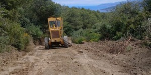 البليدة.. بعث أشغال تهيئة 133 كلم من المسالك الغابية ابتداء من مطلع سنة 2026