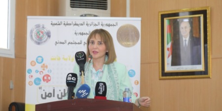 نحو تنظيم جامعة صيفية للجمعيات الناشطة بولايات الجنوب الكبير