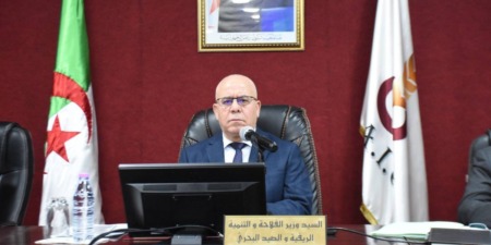 الحكومة تتجه نحو ضمان “أريحية أكبر” في تخزين المنتجات الاستراتيجية