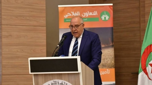 بن حبيلس يبرز جهود الحكومة في التأمين الفلاحي وتبسيط إجراءات الانخراط