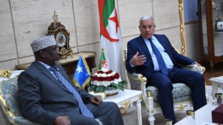 بوغالي يستقبل نظيره الصومالي مؤكدا أن استقرار الصومال مفتاح لاستقرار العالم العربي