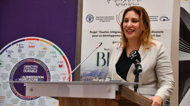جيلالي تشرف على إطلاق مشروع نموذجي لحماية غابات البيبان وتعزيز الاقتصاد المحلي