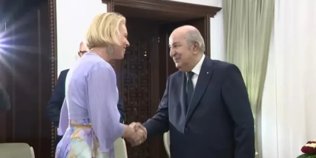 الرئيس تبون يُستقبل من قبل رئيسة الجمعية الوطنية لجمهورية سلوفينيا