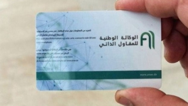 استصدار أكثر من 30 ألف بطاقة مقاول ذاتي.. فرص حقيقية للشباب للخروج من دائرة البطالة