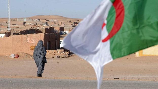مفوضية اللاجئين تشيد بدور الجزائر في دعم اللاجئين الصحراويين وتدعو لتعزيز المساعدات الدولية