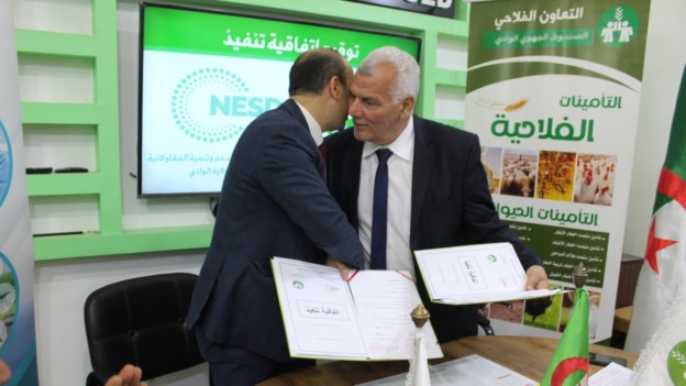 البويرة.. تأمين 40000 هكتار من محاصيل الحبوب ضد الحرائق