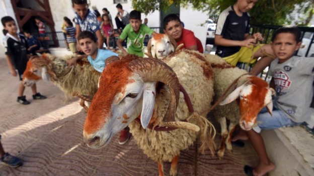 عيد الأضحى في الجزائر.. عيد ديني بصبغة اجتماعية