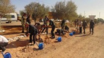 تيسمسيلت: غرس أزيد من 7 آلاف شجيرة في إطار العمل التطوعي