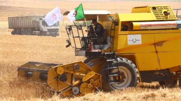 مهنيو قطاع الفلاحة يثمّنون تعليمات رئيس الجمهورية بتعزيز المكننة لإنجاح موسم الحصاد