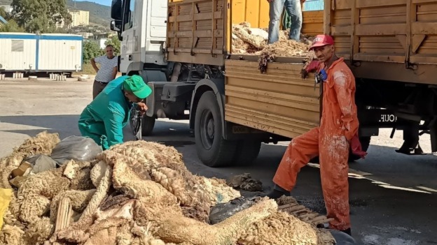عيد الأضحى: دعوة للانخراط المكثف في حملة جمع جلود الأضاحي