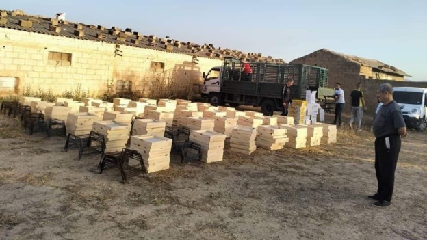أم البواقي.. دعم صغار الفلاحين بأزيد من 7000 خلية نحل