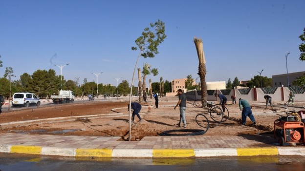 النعامة.. حملة واسعة لنظافة وتزيين المحيط
