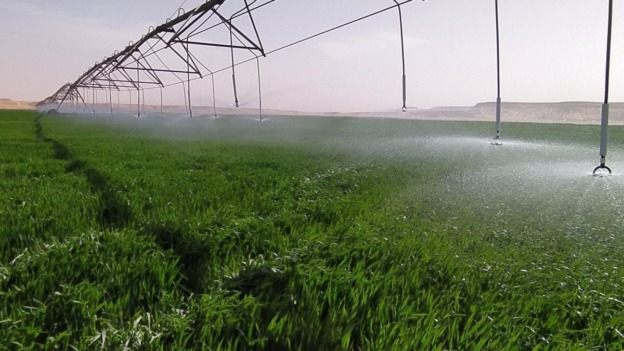 موحوش.. الجزائر باشرت مشاريع فلاحية استثمارية ضخمة