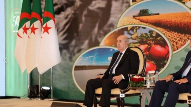 التخزين الهادف.. درع السوق الوطني