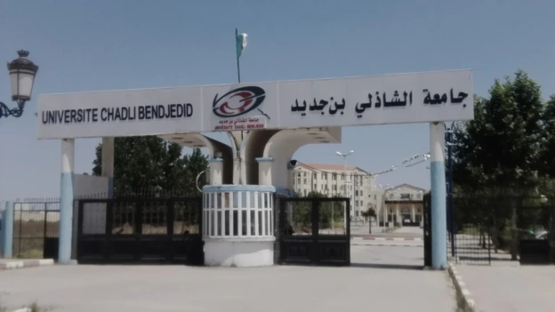 الطارف: إدراج 11 تخصصا جديدا في طوري الليسانس والماستر بداية من الدخول الجامعي الجديد