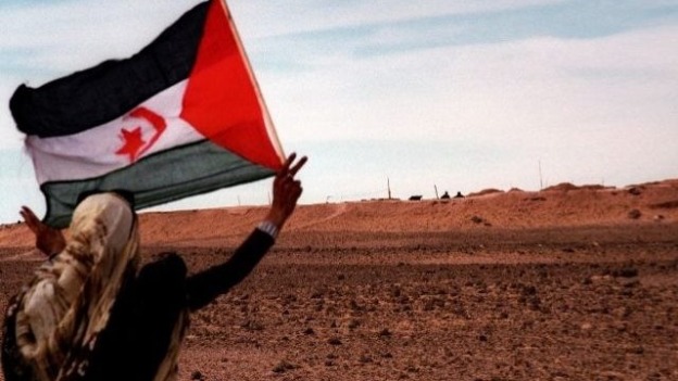 مرصد دولي يدعو الى اتخاذ إجراءات صارمة لحماية حقوق الشعب الصحراوي في ثرواته