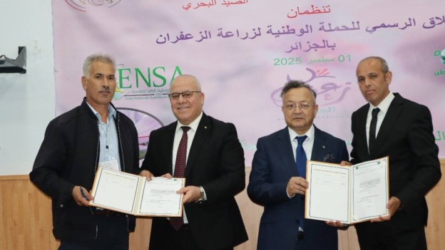 استراتيجية حكومية لترقية شعبة الزعفران وتعزيز مكانة الجزائر في الأسواق العالمية