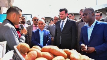 الإعتماد على المعرفة والتكنولوجيا والكفاءات الشابة في القطاع الفلاحي