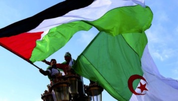 سفارة فلسطين تثمن موقف الجزائر التاريخي الداعم  للقضية الفلسطينية