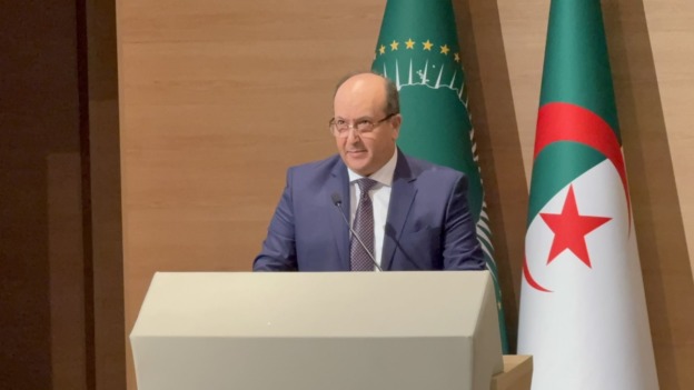 السيد غريب يؤكد أهمية مساهمة الجاليات الإفريقية في تنمية القارة