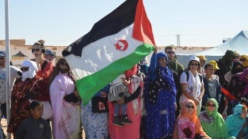 القضية الصحراوية حاضرة في المهرجان الثقافي الدولي بمدينة بازل السويسرية