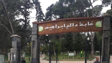 تحويل الفضاءين الغابيين بواديكار والخروب بدالي ابراهيم لديوان حظائر التسلية