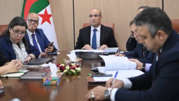 شايب وواضح في لقاء افتراضي مع كفاءات الجزائر بالدول الأسكندنافية